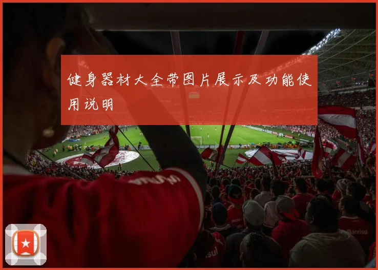 健身器材大全带图片展示及功能使用说明