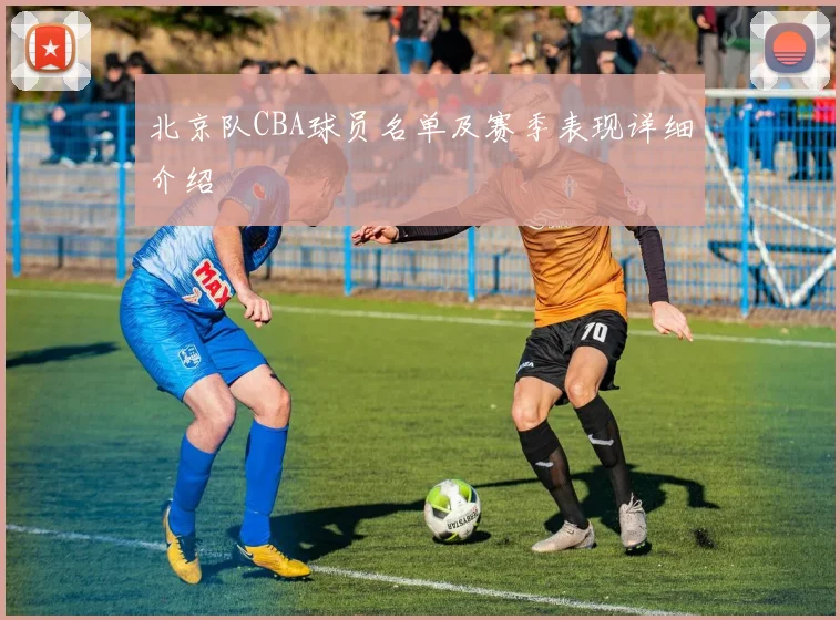 北京队CBA球员名单及赛季表现详细介绍