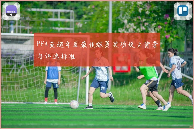 PFA英超年度最佳球员奖项设立背景与评选标准
